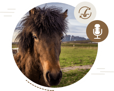 teaser bild podcast nature best fellwechsel